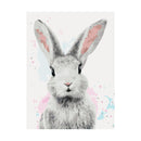Adult Paint by Numbers with Frame - Beautiful Bunny Paint By Numbers With Frame Iconix 