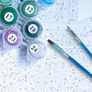 Adult Paint by Numbers with Frame - Come Sail Away Adult Painting by Numbers Iconix 