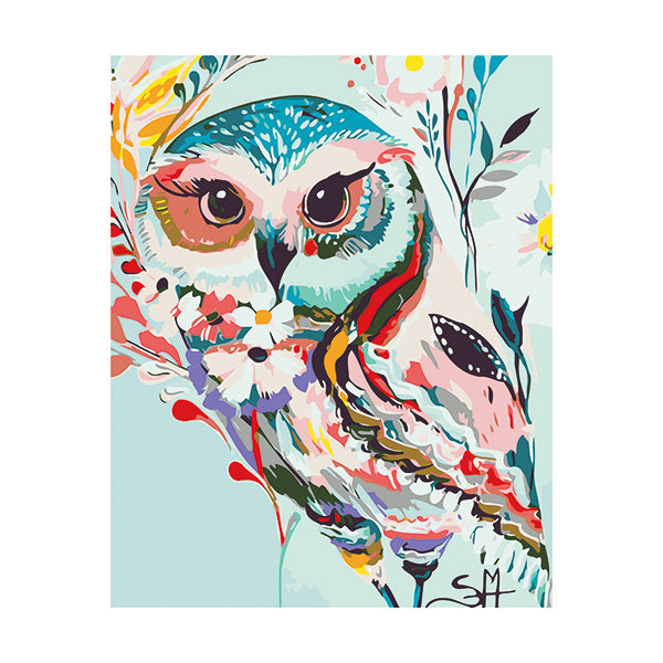 Adult Paint by Numbers with Frame - Embellished Owl Paint By Numbers With Frame Iconix 