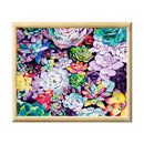 Adult Paint by Numbers with Frame - Glowing Succulents Paint By Numbers With Frame Iconix 