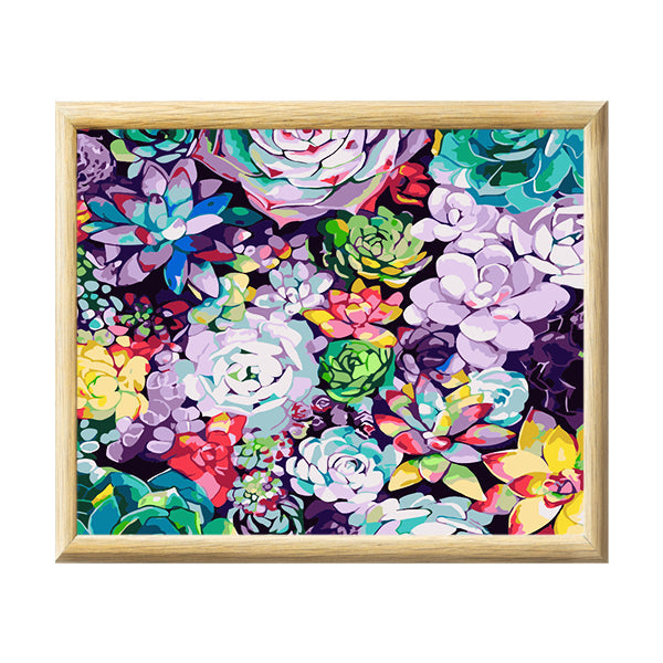 Adult Paint by Numbers with Frame - Glowing Succulents Paint By Numbers With Frame Iconix 