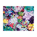 Adult Paint by Numbers with Frame - Glowing Succulents Paint By Numbers With Frame Iconix 