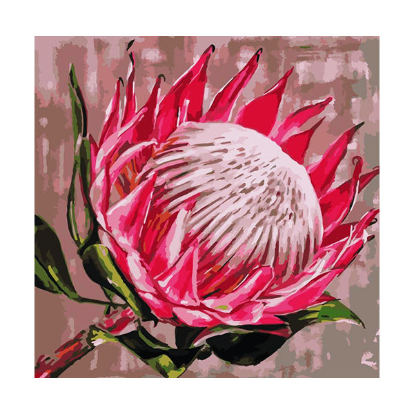 Adult Paint by Numbers with Frame - King Protea Paint By Numbers With Frame Iconix 