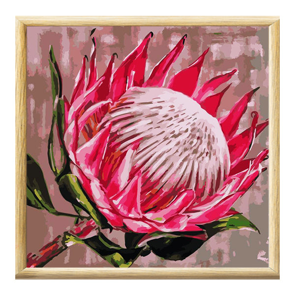 Adult Paint by Numbers with Frame - King Protea Paint By Numbers With Frame Iconix 