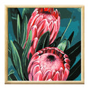 Adult Paint by Numbers with Frame - Protea Pair Paint By Numbers With Frame Iconix 