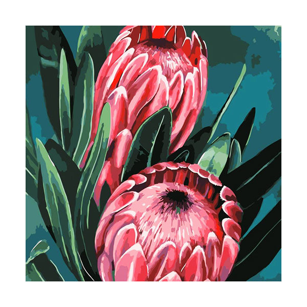 Adult Paint by Numbers with Frame - Protea Pair Paint By Numbers With Frame Iconix 