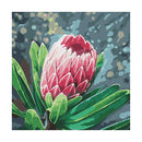 Adult Paint by Numbers with Frame - Queen Protea Paint By Numbers With Frame Iconix 