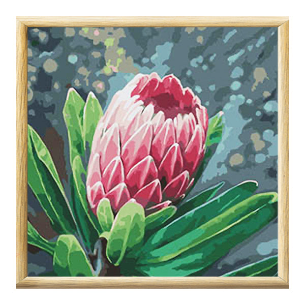 Adult Paint by Numbers with Frame - Queen Protea Paint By Numbers With Frame Iconix 