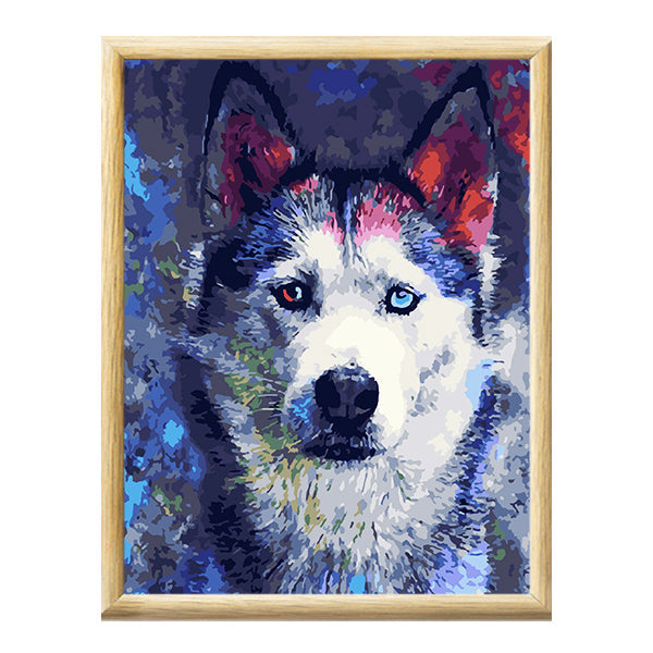 Adult Paint by Numbers with Frame - Soulful Husky Paint By Numbers With Frame Iconix 