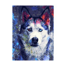 Adult Paint by Numbers with Frame - Soulful Husky Paint By Numbers With Frame Iconix 