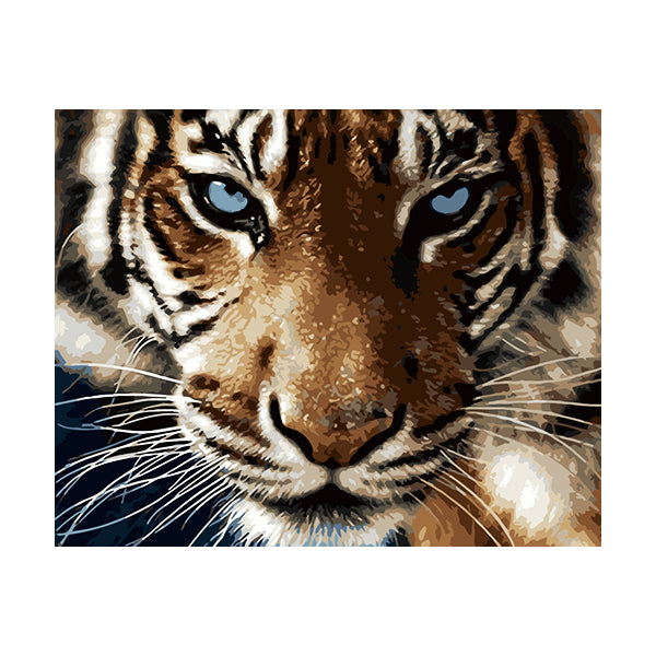 Adult Paint by Numbers with Frame - Tiger Paint By Numbers With Frame Iconix 