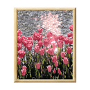 Adult Paint by Numbers with Frame - Tulip Fields Paint By Numbers With Frame Iconix 