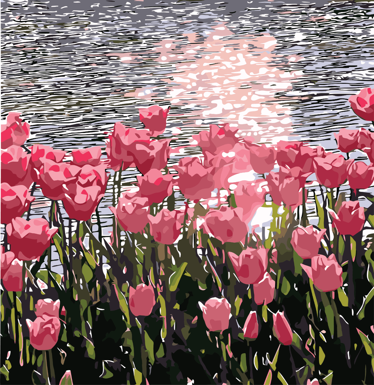 Adult Paint by Numbers with Frame - Tulip Fields