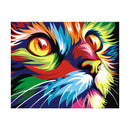 Adult Painting by Numbers - Cat Paint By Numbers Iconix 