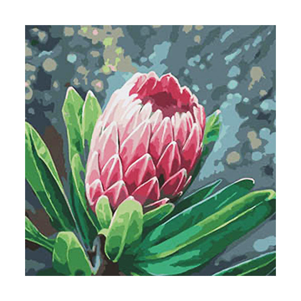 Adult Painting by Numbers - Queen Protea Paint By Numbers Iconix 
