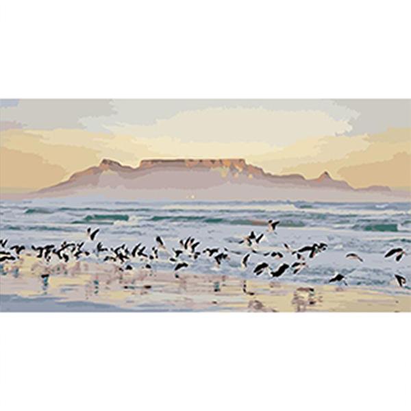 Adult Painting by Numbers - Table Mountain Morning Glory Adult Painting by Numbers Iconix 