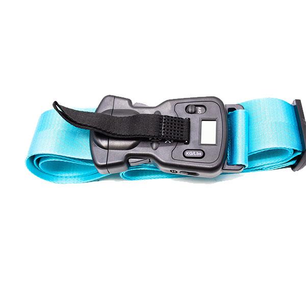 Anti-Theft Luggage Belt with Digital Scale and Double Lock - Turquoise Iconix 