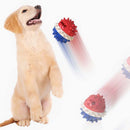 Bouncy Food Dispensing Ball Iconix 