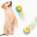 Bouncy Food Dispensing Ball Iconix 