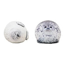 Chubby Seal Plush Toy and Pillow Plush Toys Iconix 