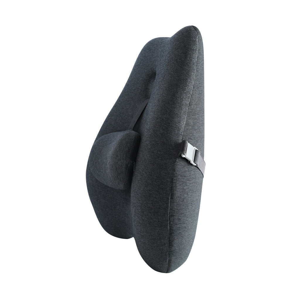 Chair insert for back support shop