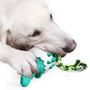 Dinosaur-In-Egg Chew Toy for Dogs Iconix 