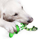 Dinosaur-In-Egg Chew Toy for Dogs Iconix 