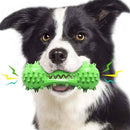 Dog Squeaky Toy and Toothbrush Iconix 