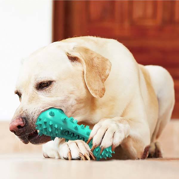Dog Squeaky Toy and Toothbrush Iconix 