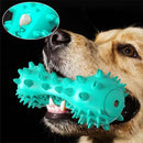 Dog Squeaky Toy and Toothbrush Iconix 