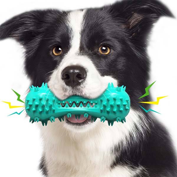 Dog Squeaky Toy and Toothbrush Iconix 