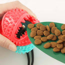 Doggie Chew Toy and Cleaner Iconix 