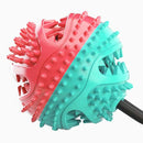 Doggie Chew Toy and Cleaner Iconix 