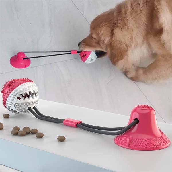 Doggie Chew Toy and Cleaner Iconix 