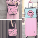 Fashion Carry-On Luggage bag Storage & Organization Iconix 