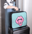 Fashion Carry-On Luggage bag Storage & Organization Iconix 