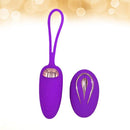 High Quality Silicone Wireless Vibrator Love Egg Iconix 
