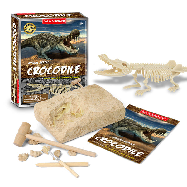 Junior Archaeology Dig Kit – Crocodile digging kits Iconix 