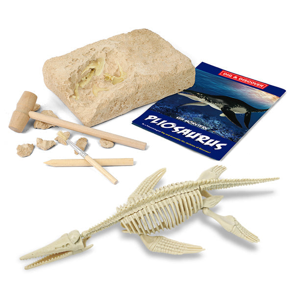 Junior Archaeology Dig Kit – Pliosaurus digging kits Iconix 