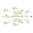 Junior Archaeology Dig Kit – Pliosaurus digging kits Iconix 