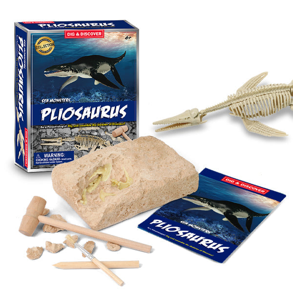 Junior Archaeology Dig Kit – Pliosaurus digging kits Iconix 