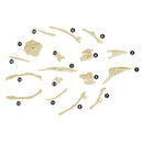 Junior Archaeology Dig Kit – Pterosaur digging kits Iconix 