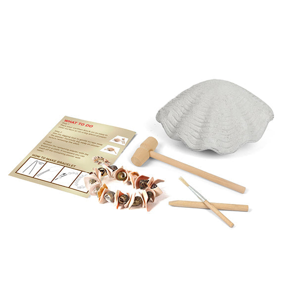 Junior Archaeology Dig Kit – Seashells digging kits Iconix 