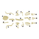 Junior Archaeology Dig Kit – Tyrannosaurus Digging Kits Iconix 