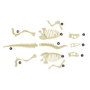 Junior Archaeology Dig Kit – Velociraptor Digging Kits Iconix 