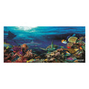 Marine Life Full Desk Coverage Gaming and Office Mouse Pad Mouse Pads Iconix 