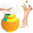 Multifunctional Dog Ball Iconix 