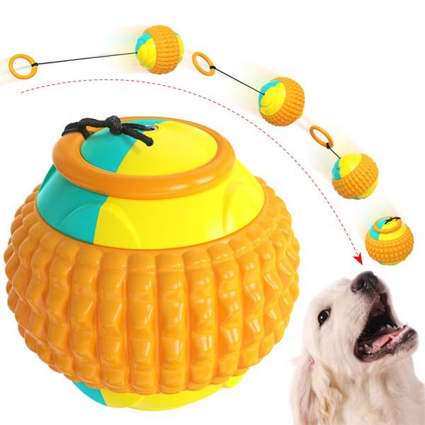 Multifunctional Dog Ball Iconix 