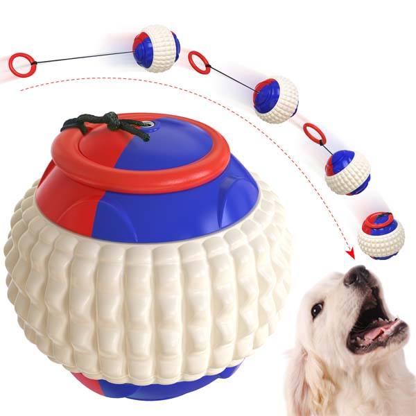 Multifunctional Dog Ball Iconix 