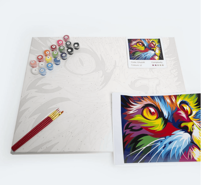 Iconix Paint By Numbers Kit for Adults - Pathway to Freedom